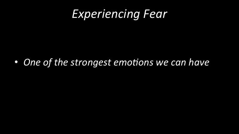 fear-slide04