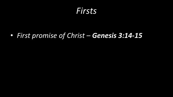 Firsts-Slide08
