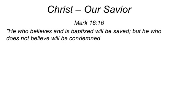 Christ-Our-Savior1-6