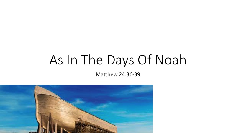 Days-Noah-Cain-13