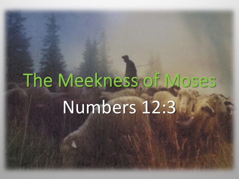 Meekness-Moses-Davis-01