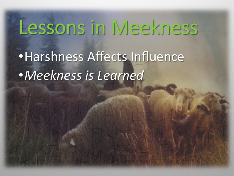 Meekness-Moses-Davis-09
