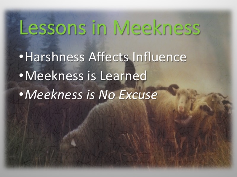 Meekness-Moses-Davis-11