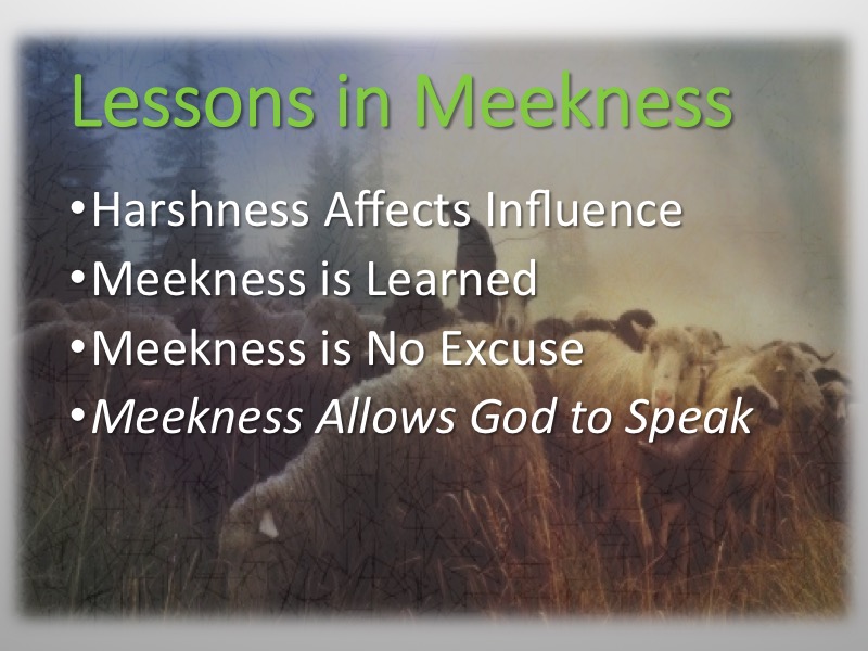 Meekness-Moses-Davis-15