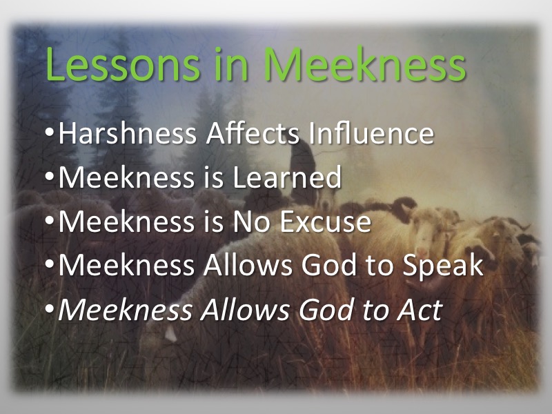 Meekness-Moses-Davis-20