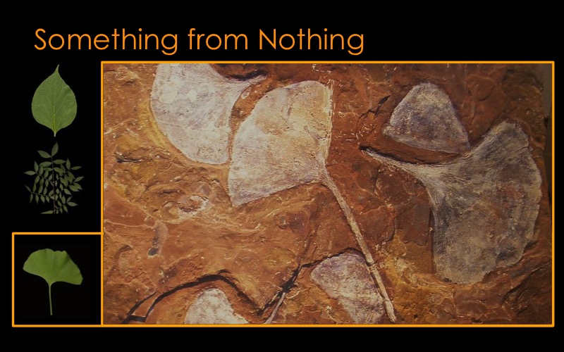 Something-Nothing-Starnes-14