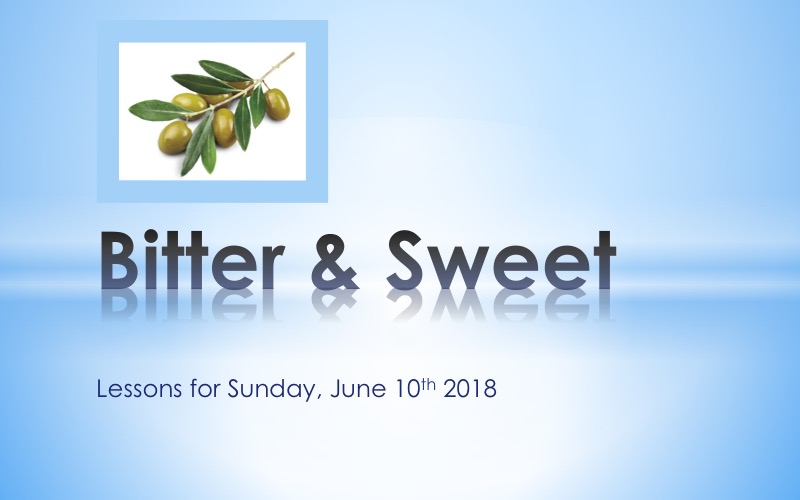 Bitter-Sweet-Starnes01