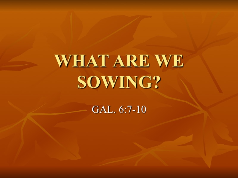 What-Sowing-Eads-1