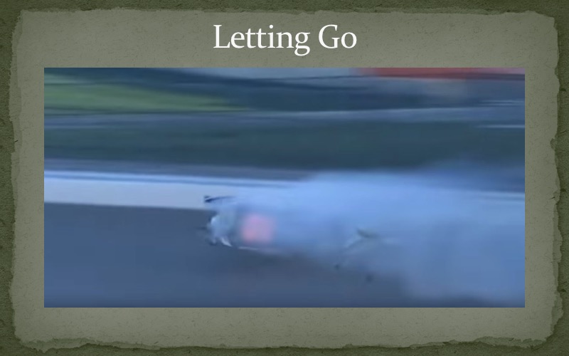 Letting-Go-Starnes-39