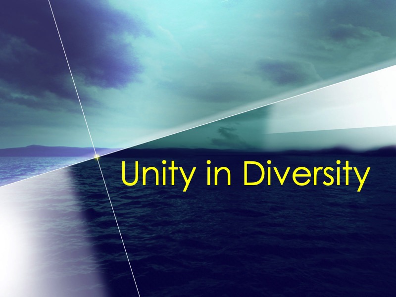 Unity-in-Diversity-Begley-01