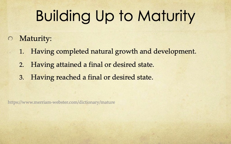 Building-Maturity-Starnes-02