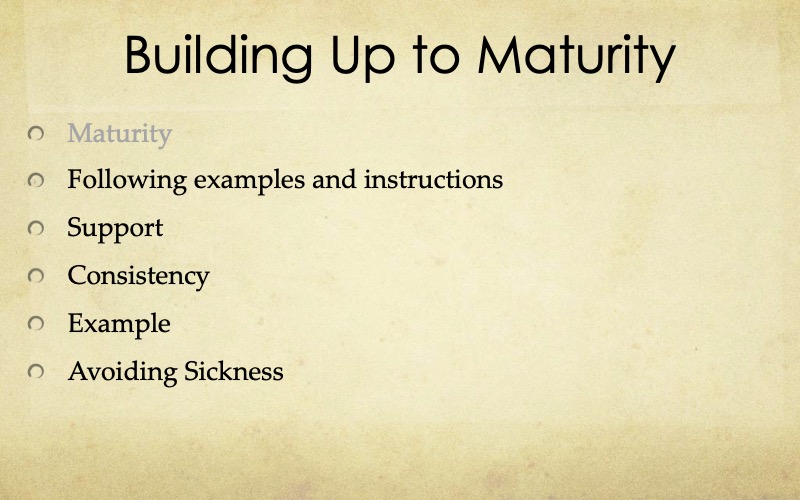 Building-Maturity-Starnes-03