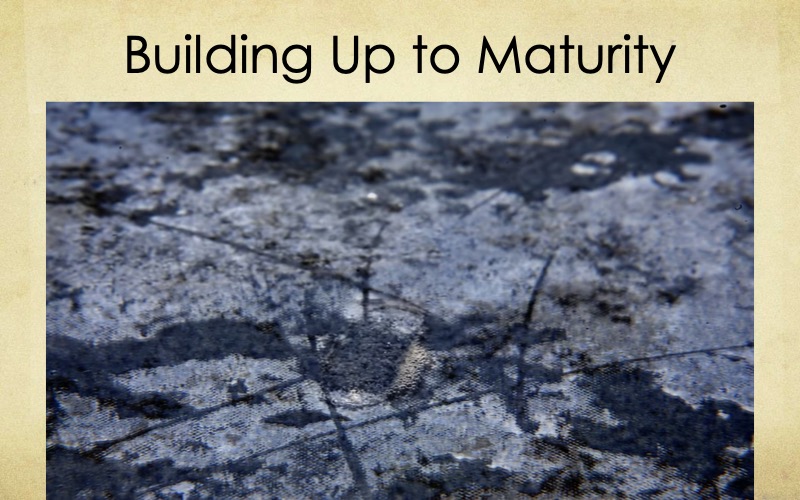 Building-Maturity-Starnes-04