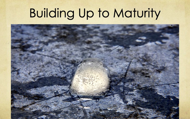 Building-Maturity-Starnes-05