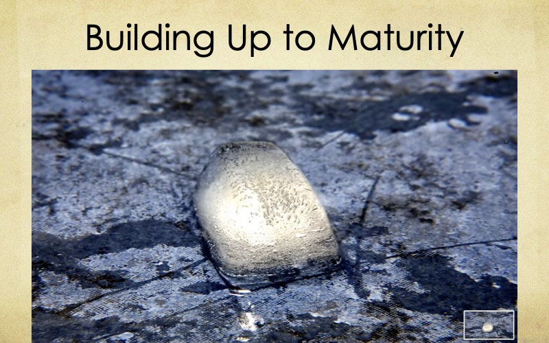 Building-Maturity-Starnes-06