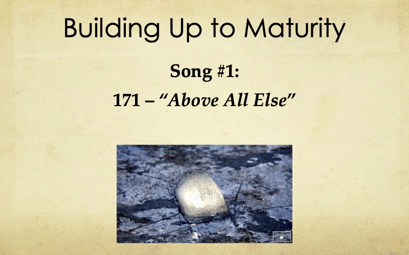 Building-Maturity-Starnes-13
