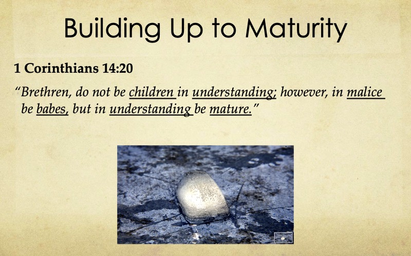Building-Maturity-Starnes-14