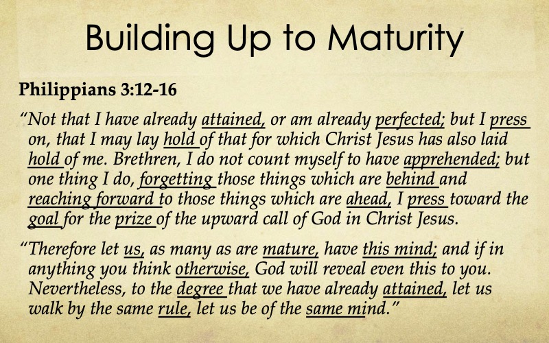 Building-Maturity-Starnes-15