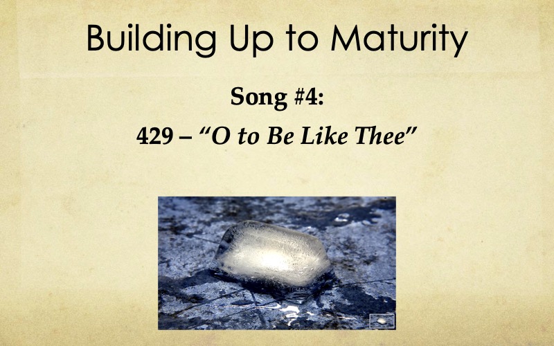 Building-Maturity-Starnes-19