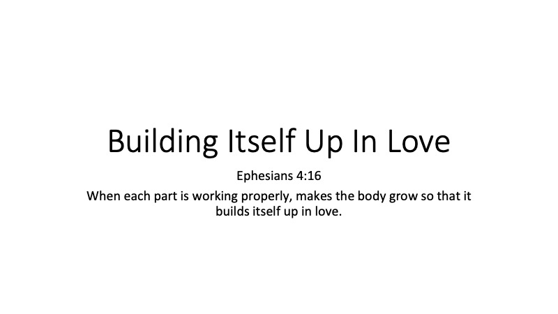 Building-in-Love-Cain-01