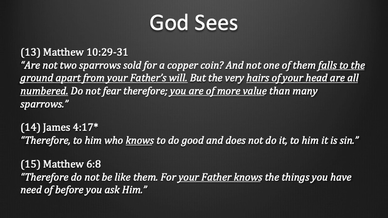 God-Sees-20