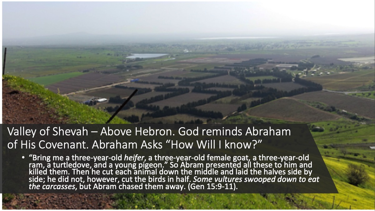 Abraham-Land-Show-Cain-11