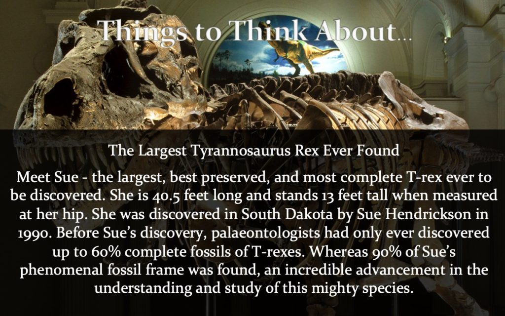 things-to-think-about-30