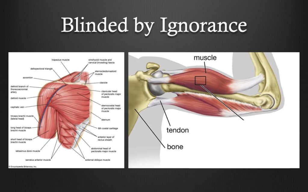 Slide13