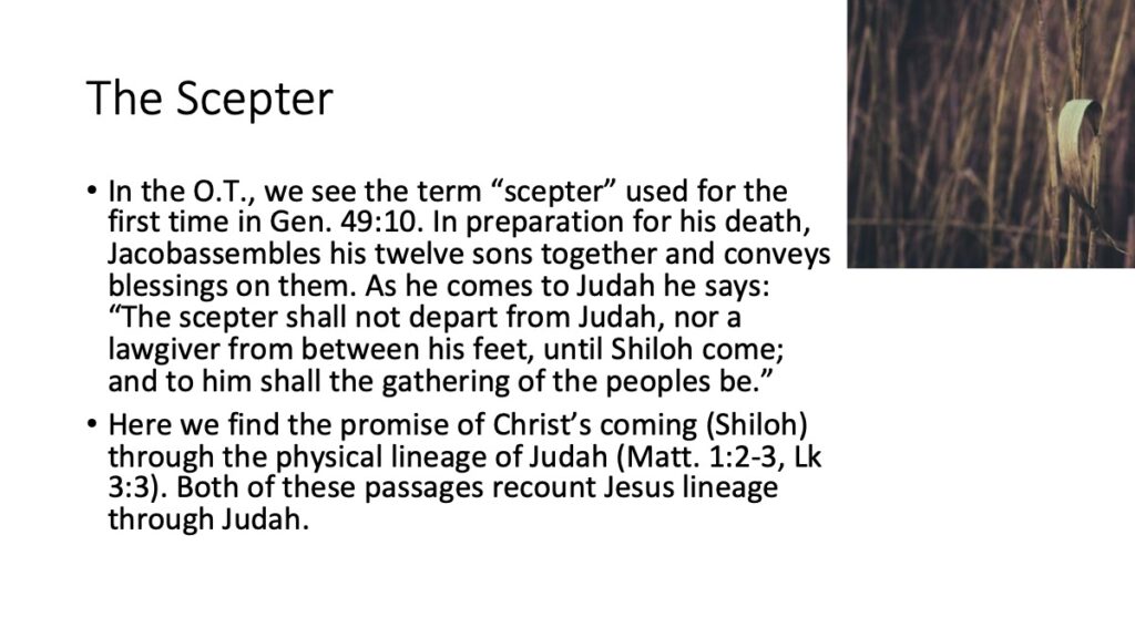 Slide11