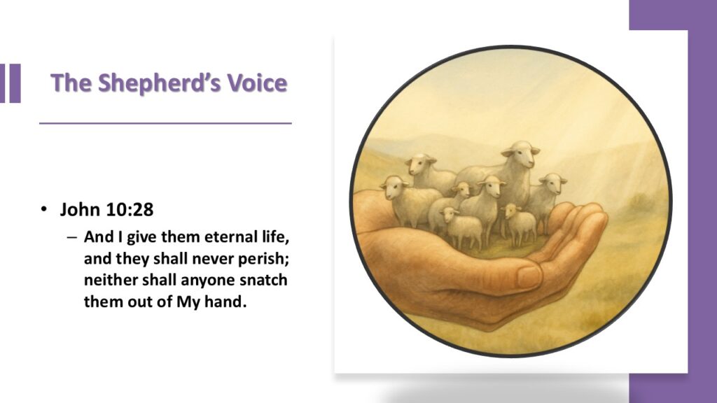 Slide13