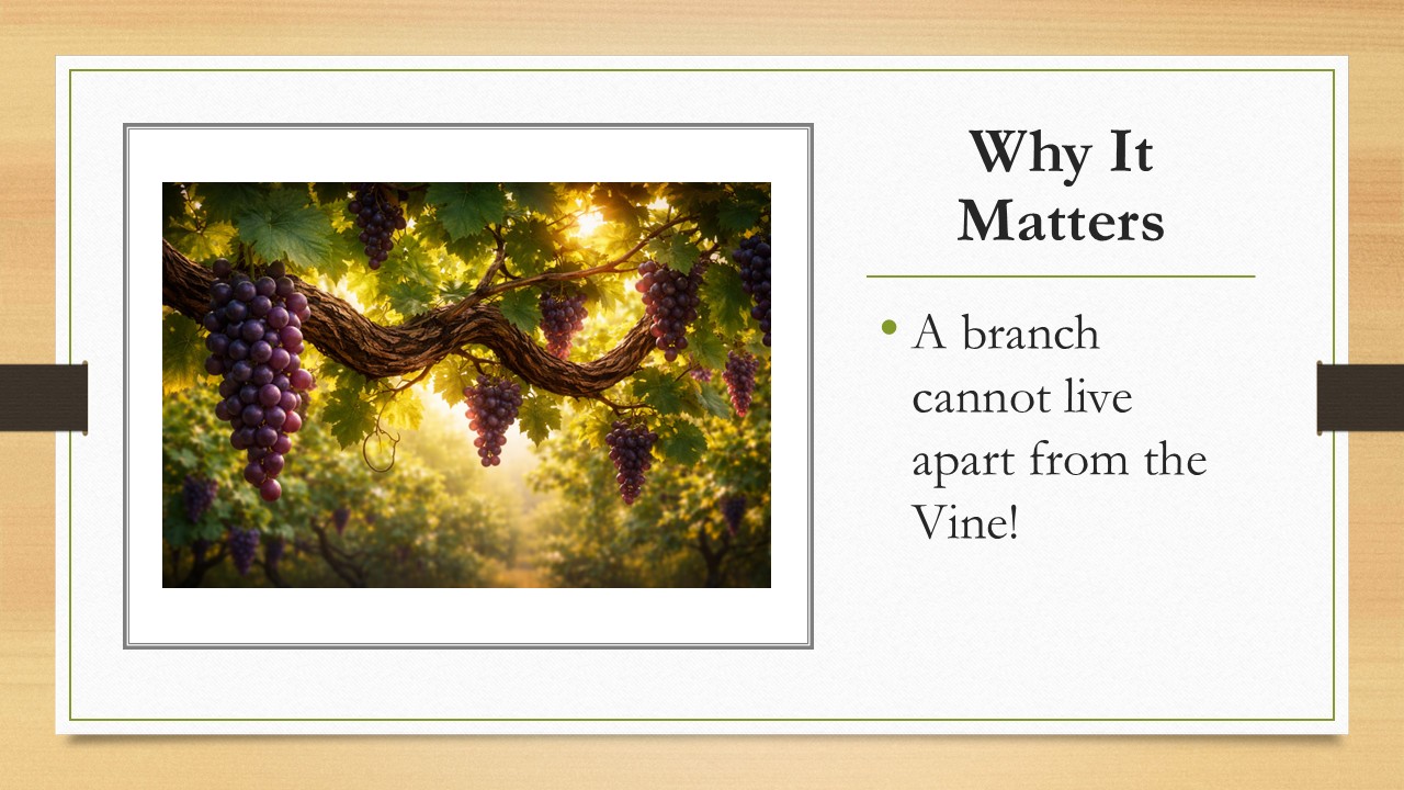 Slide13 Slide13