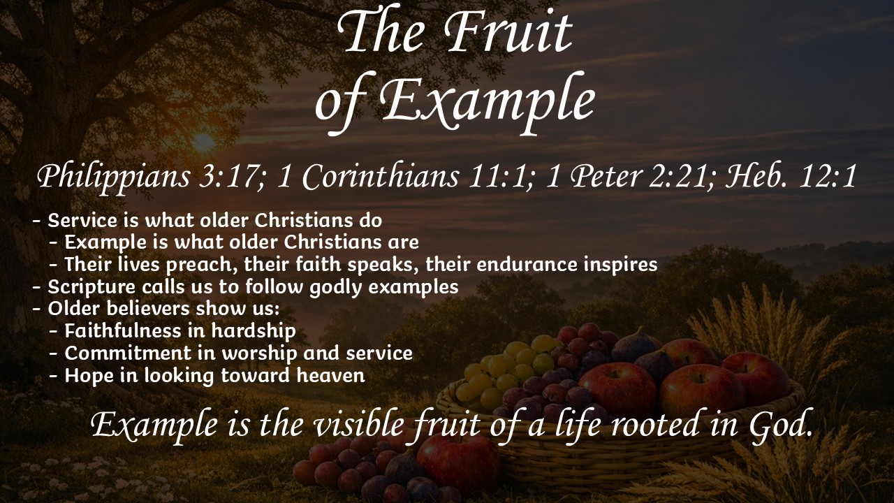 Slide5